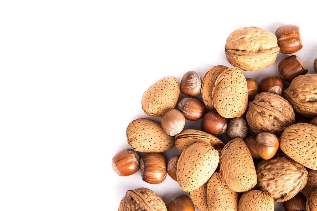 Eating nuts `significantly` boosted the number and health of sperm in young men in a scientific trial, researchers said Wednesday. Photo: Collected