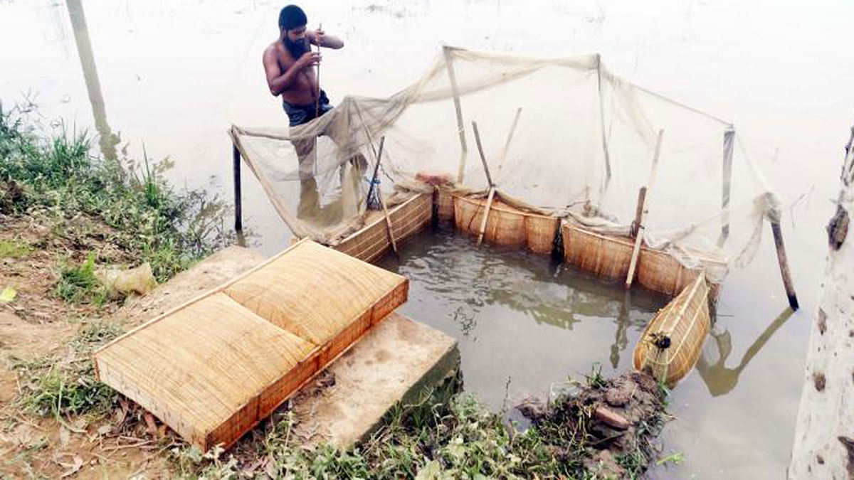 A man sets trap and net in at the culvert area for fishing as small fish is abundant in the water. The photo was taken from Dorimukunda, Sherpur, Bogura on 6 July by Sabuj Chowdhury