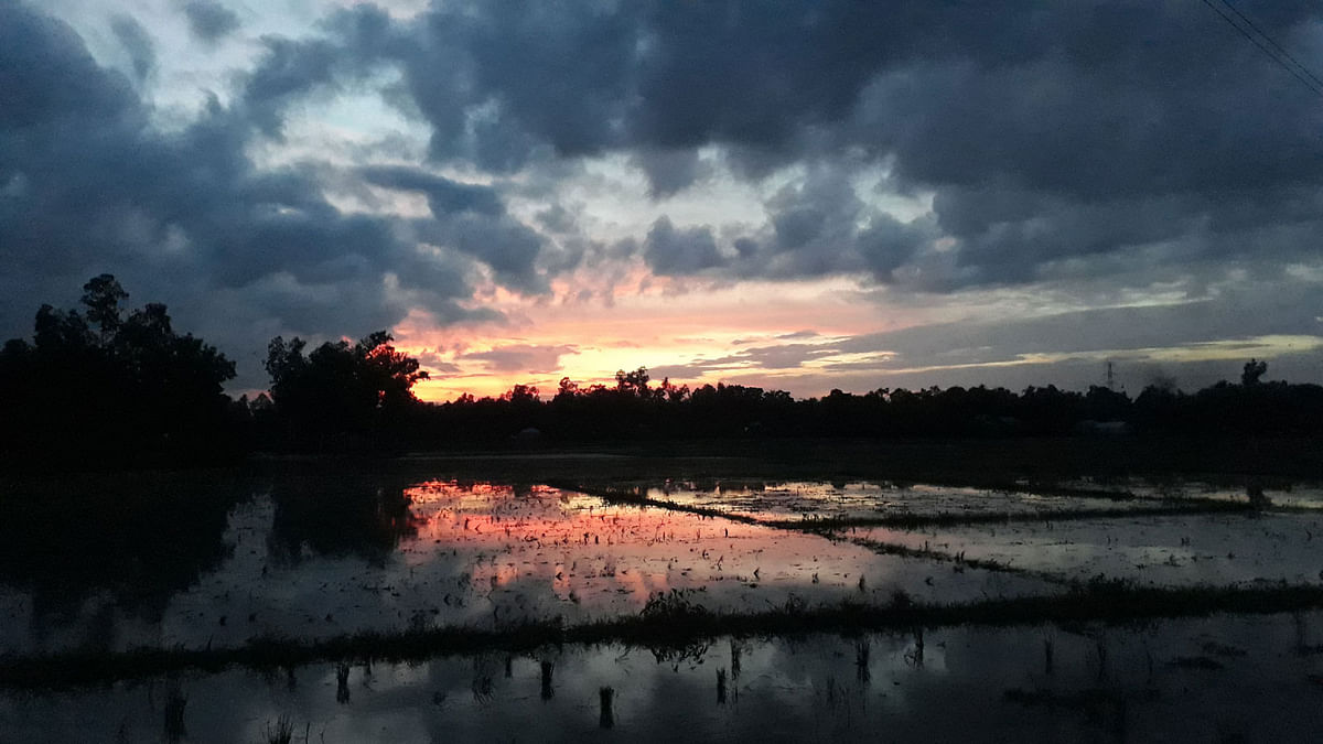 A mesmerising twilight at Betua of Dhangar union, Raiganj upazila in Sirajganj on 9 July. Photo: Sajedul Alam