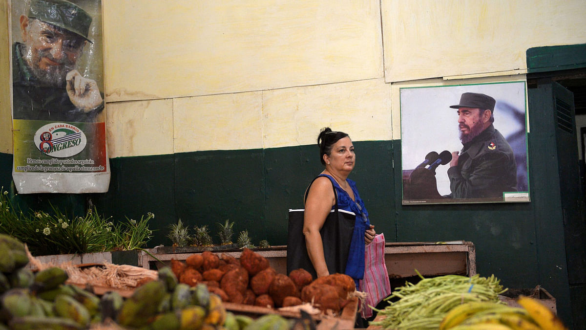 A woman shops for vegetables next to poster of Cuban late leader Fidel Castro at a market in Havana on 10 June 2018. Cuba gave Tuesday a new green light to private work, after a setback of almost a year, now increasing control and preventing tax evasion in a sector which represents 13% of the country`s workforce. Photo: AFP