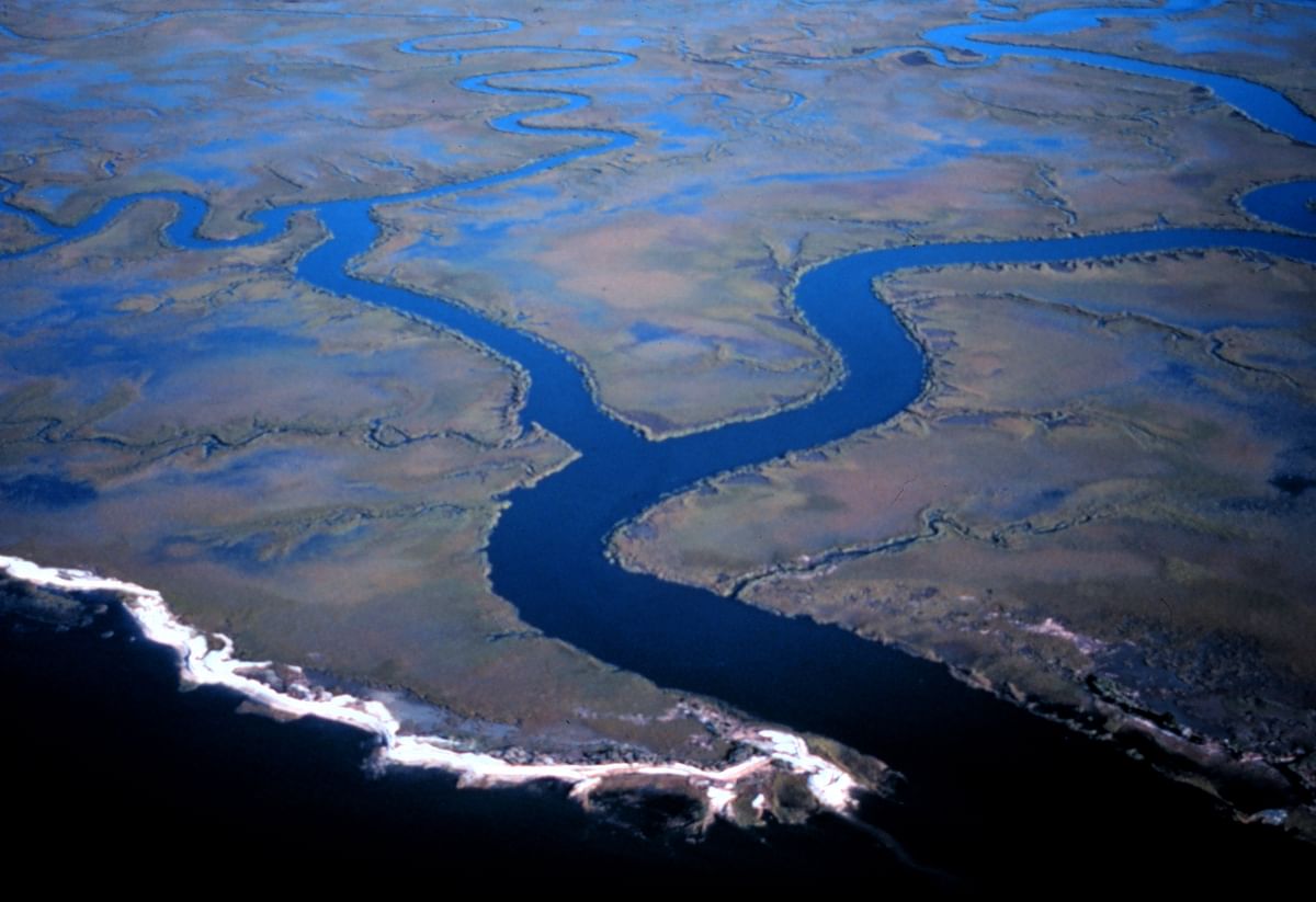 Google distils data for UN water ecosystems map