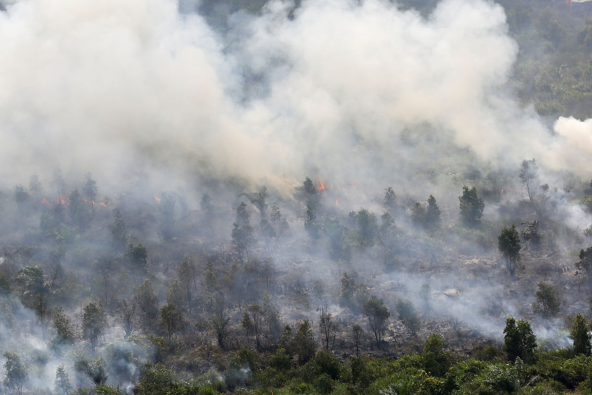 Aerial view of forest fire in Ogan Komering Ilir, South Sumatra Province, Indonesia on 17 July 2018. Photo: Reuters
