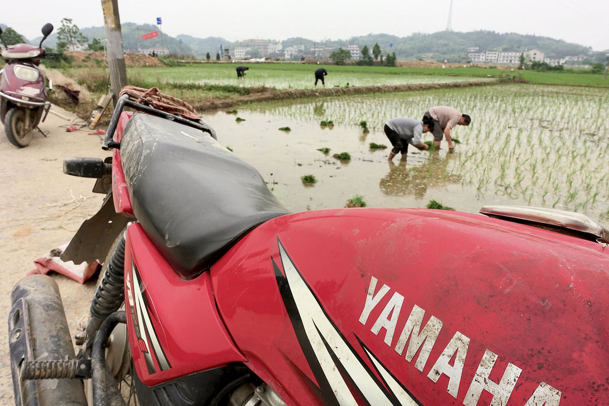Motorcycles are seen next to a field where farmers plant seedlings, in Dongfeng village, Hunan province, China on 9 May 2018. Photo: Reuters