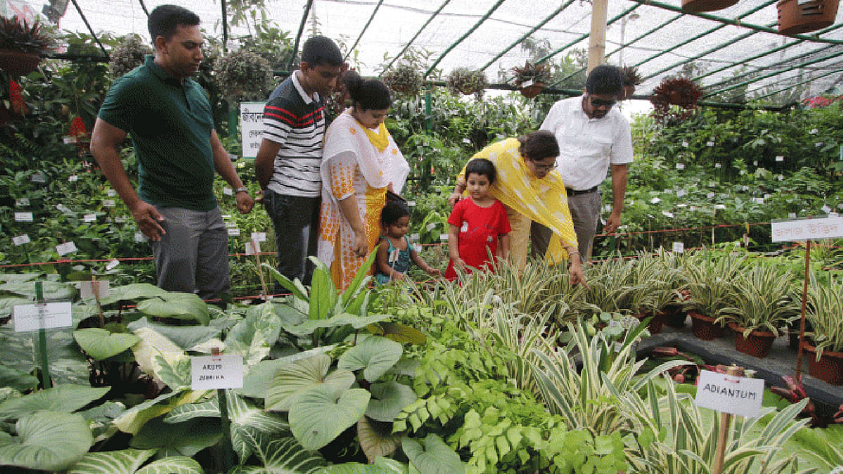 Visitors see various kinds of plants at the national tree fair at Sher-e-Bangla Nagar, Dhaka on 20 July. The picture has been taken by Abdus Salam.