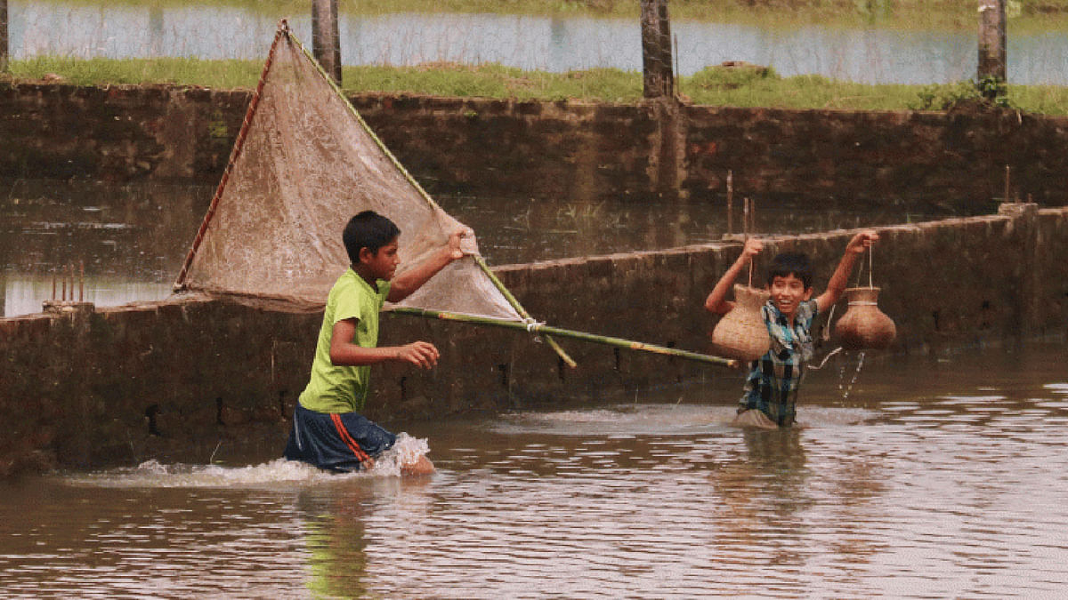 Two children catch fish with net in the water. Canals and water-bodies are brimming with fresh water now. The picture has been taken from Sonatala, Sylhet Sadar on 19 July. Photo: Anis Mahmud.