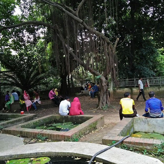 A large number of visitors come to the Cybele section of Baldah garden everyday, but hardly any of them are nature lovers.