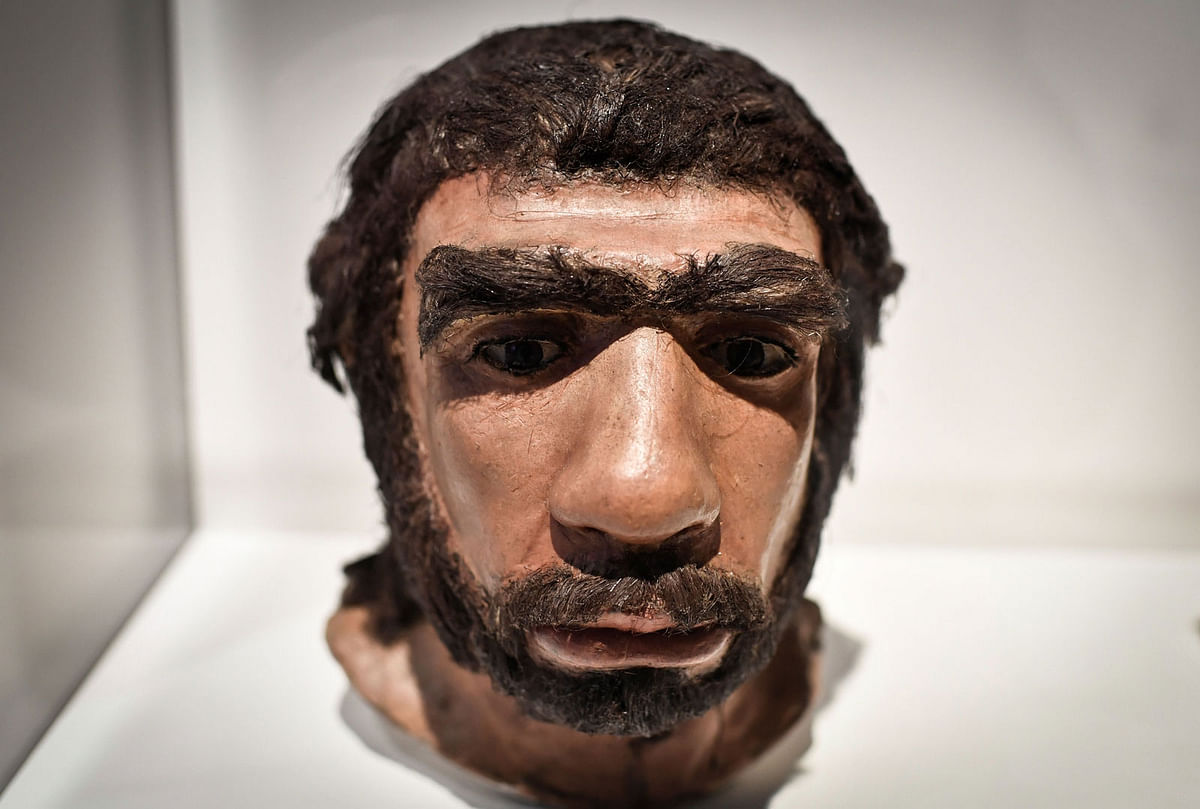 This file photo taken on 26 March 2018 shows a moulding of a Neanderthal man face displayed for the Neanderthal exhibition at the Musee de l`Homme in Paris. Photo: AFP