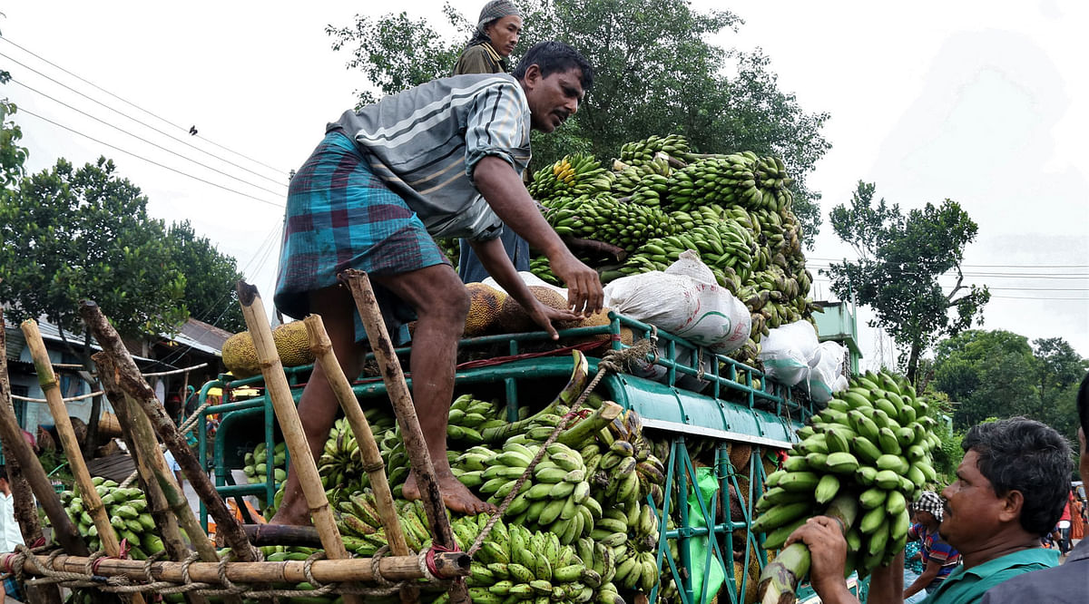 People load bananas on a vehicle at a weekly market day in Rangamati. Bananas are plently in supply in the market. Wholesalers will transport these to the retailers. Supriya Chakma took the photo on 21 July.