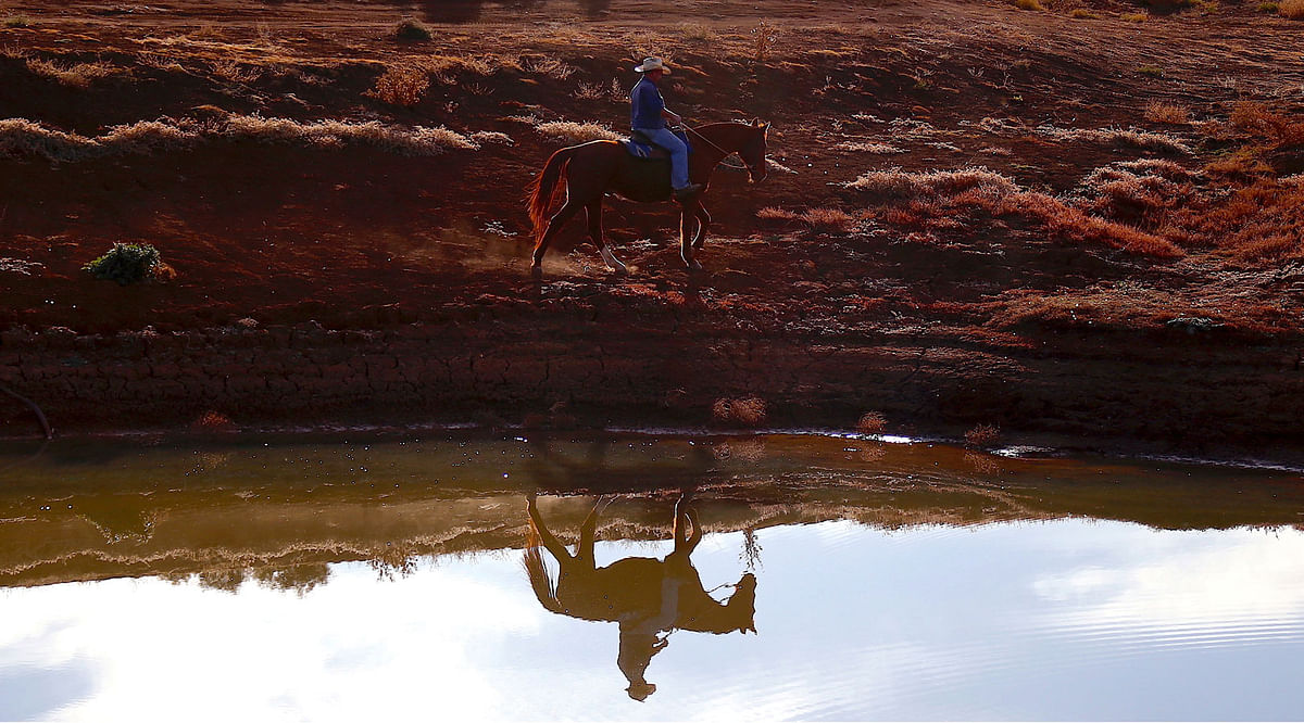 Farmer Scott Cooper is reflected in a dam as he rides his horse on his drought-affected property named `Nundah`, located on the outskirts of the central New South Wales town of Gunnedah in Australia, 21 July 2018. Picture taken 21 July 2018. Photo: Reuters