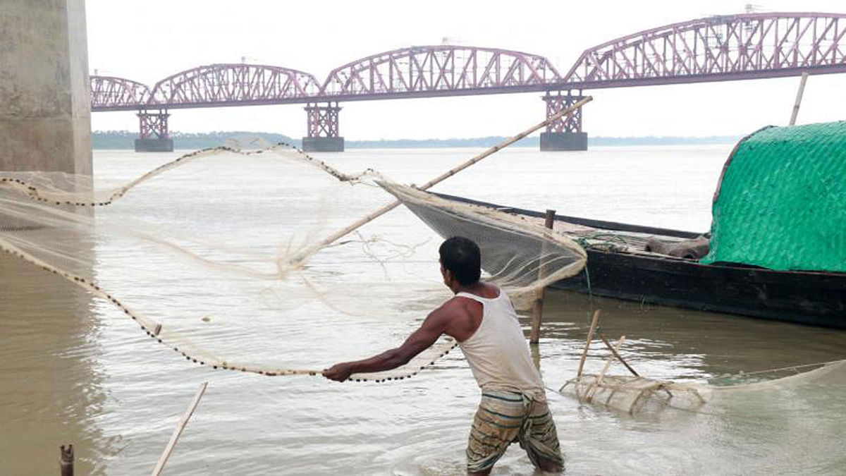 A fisherman cast net in the Padma river in Pakshi, Pabna on 25 July. Fish is abundant in the fresh water during the monsoon. Photo: Hasan Mahmud