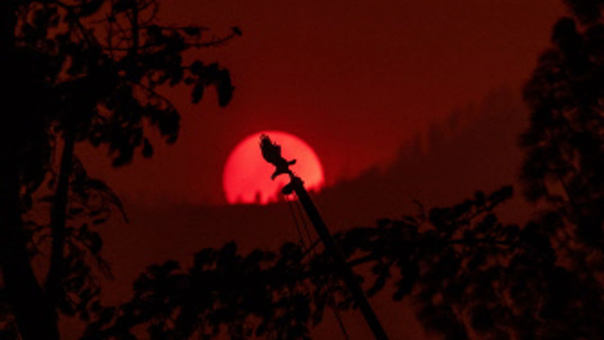An eagle ornament at the top of a damaged flag pole is seen against the setting sun during the Carr fire in Redding, California on 27 July 2018. Photo: AFP