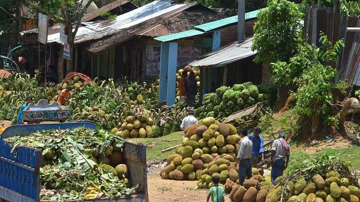 Jackfruits and bananas are seen in a local market of Dighinala upazila in Khagrchhari. Different kinds of seasonal fruits are coming to the market. Palash Barua recently took this photo.