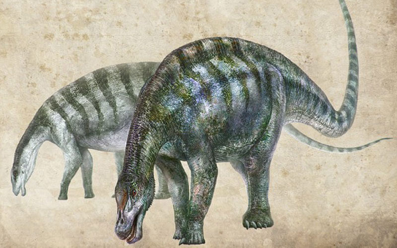 An artist`s rendering of Lingwulong shenqi, a newly discovered dinosaur unearthed in northwestern China, appears in this image provided24 July 2018. Photo: Reuters