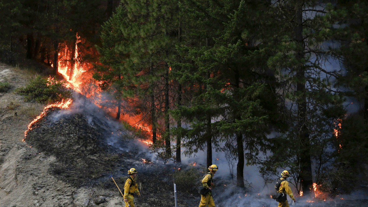Firefighters monitor flames above State Highway 299 while battling the Carr Fire on 30 July, 2018 west of Redding, California. Photo: AFP