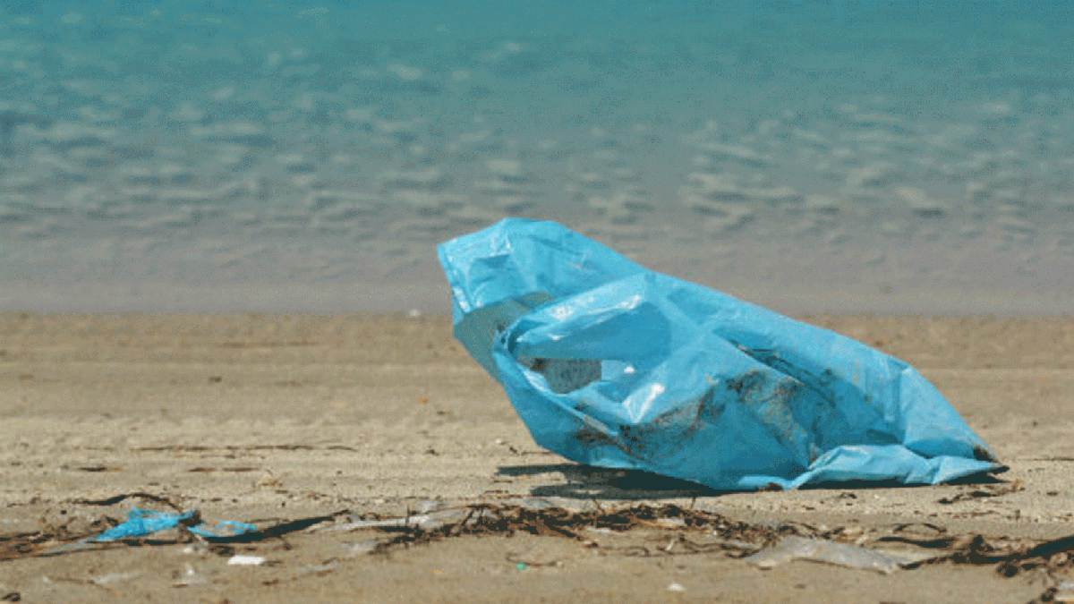 New Zealand to ban single-use plastic bags. File photo