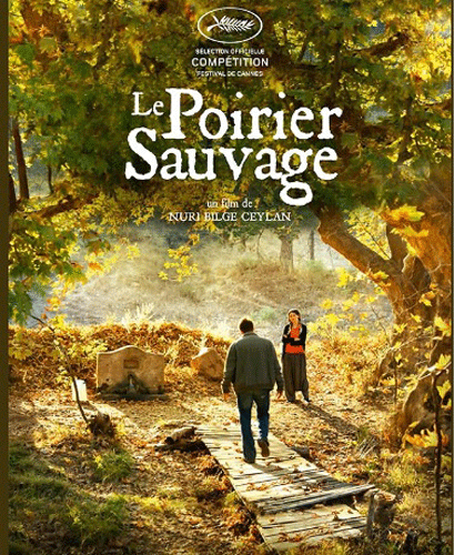 Poster of ‘The Wild Pear Tree’ by Nuri Bilge Ceylan. Photo: Collected from Twitter