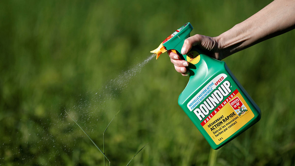 A woman uses a Monsanto’s Roundup weedkiller spray without glyphosate in a garden in Ercuis near Paris, France, on 6 May 2018. Reuters File Photo