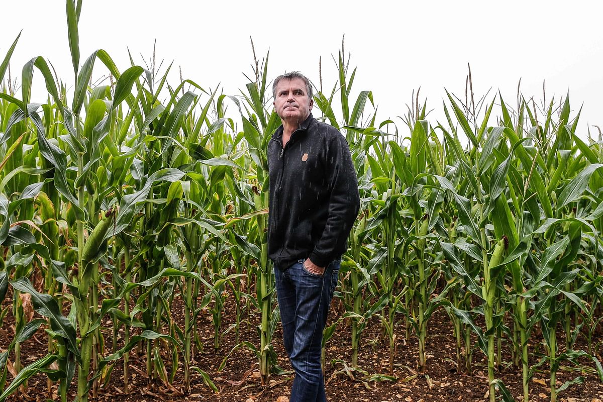 In this file photo taken on 28 July 2015 French corn farmer Paul Francois poses at his farm in Bernac, southwestern France. French farmer Paul Francois said on 11 August 2018 he felt `happiness` for all those who are fighting against Monsanto around the world, after a California jury`s decision to order the chemical giant to pay nearly $290 million for failing to warn a dying groundskeeper that the product might cause cancer. As observers predicted thousands more future claims against the company in the wake of Monsanto`s defeat, Bayer -- which recently acquired the US giant -- said the California ruling went against scientific evidence. -- AFP