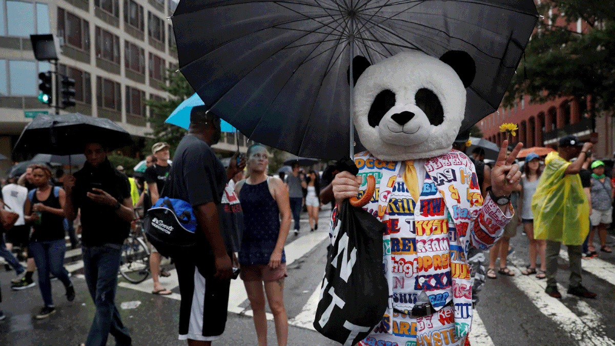 A person wearing a panda mask poses for photos during a white nationalist-led rally marking the one-year anniversary of the 2017 Charlottesville `Unite the Right` protests, in downtown Washington, US on 12 August. Photo: Reuters