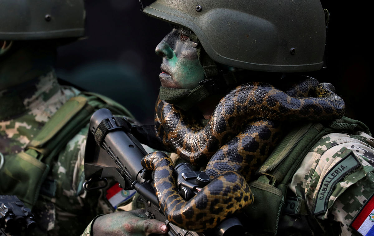 A member of Paraguayan Army`s Special Forces Cavalry with a snake around his neck marches in front of Paraguay`s President Mario Abdo Benitez (not pictured) during a military parade in Asuncion, Paraguay on 15 August 2018. Photo: Reuters