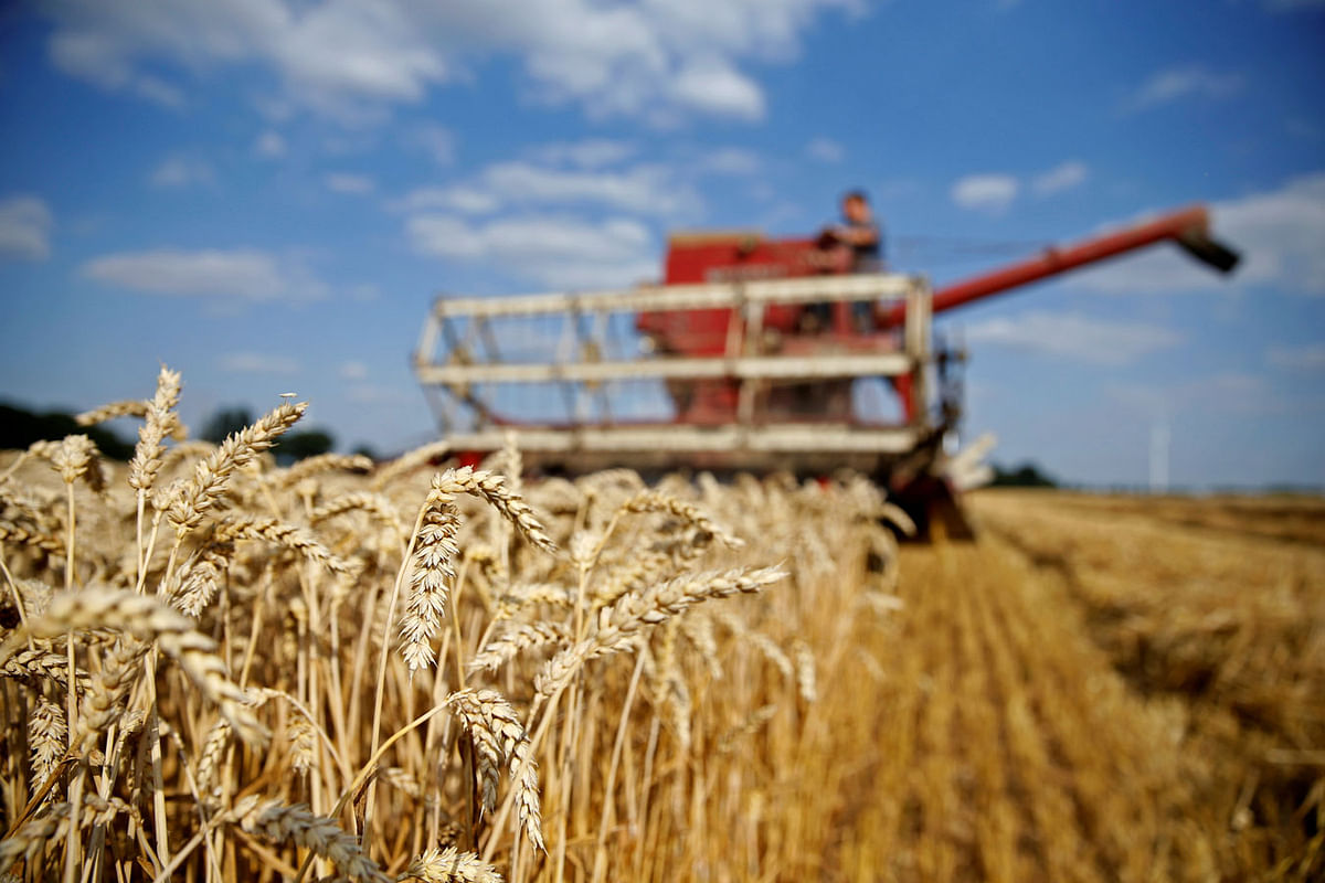 Arnaud Caron, a French farmer, harvests his last field of wheat in Vauvillers, northern France, 23 July, 2018. Photo: Reuters