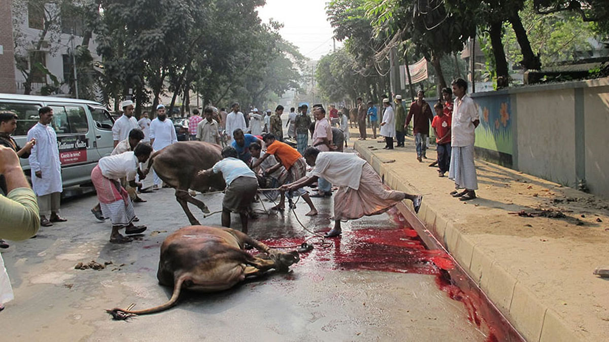 The city-dwellers slaughtered their cattle on the streets in front of their respective houses, with bloods running down the streets in the capital on Wednesday. Photo: UNB