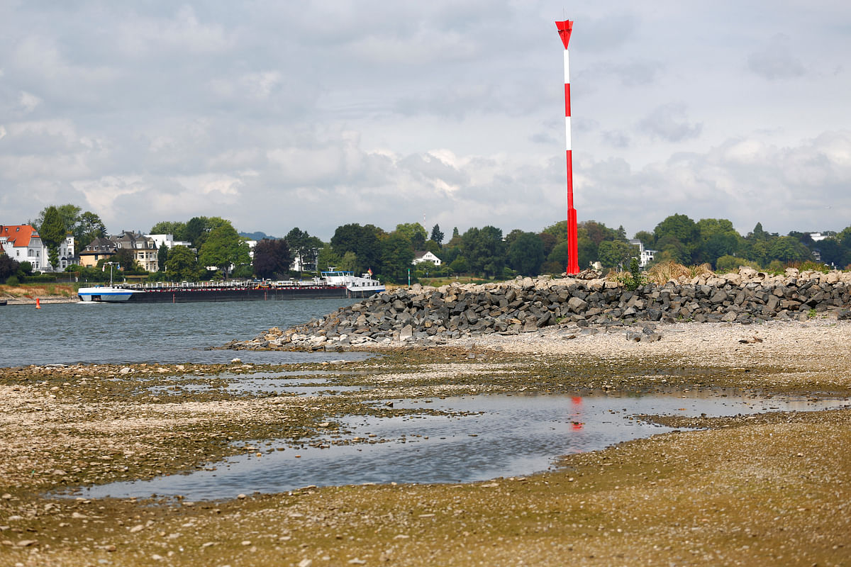 A marker pole stands atop of a usually flooded spur dike located next to the partially dried out river bed of the Rhine in Rhoendorf near Bonn, Germany on 17 August 2018, as water levels reached a historic low level and freight vessels cannot sail fully loaded on the river. Photo: Reuters