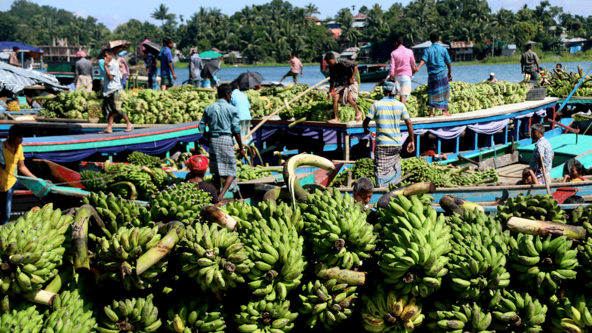 Farmers bring bananas and other types of fruits and vegetables grown in Jhum cultivation at hill tracts to weekly ‘Haat’ (market) in Rangamati. Supriya Chakma took this photo from Rangamati on 29 August.