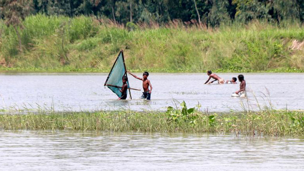 Fishing in the fresh water beel filled during the monsoon at Chalan Beel, Handial, Chatmohor, Pabna on 1 September. Photo: Hassan Mahmud