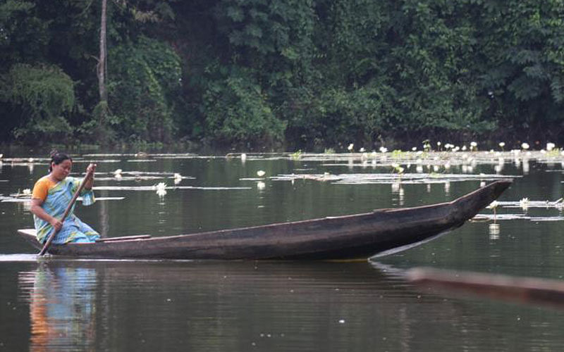 A woman from the Hill Tracts rows a boat across the ricefields submerged in the monsoon by the river in Tilarpara, Khagrachhari on 4 September. The river is connected with Kaptai lake. Photo: Nerob Chowdhury