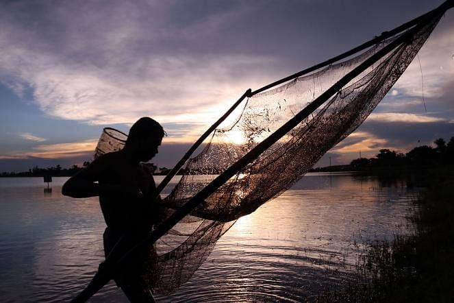 A man catching fish in the twilight at Baorkandi Haor in Sylhet on 6 September. Photo: Anis Mahmud