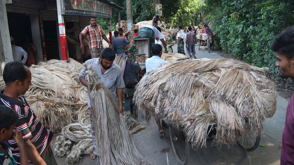 Farmers bringing jute fibers at the haat (local market) in Krishnapur of Sadarpur, Faridpur on 9 September. The price of jute fibers is quite satisfying this year. Photo: Alimuzzaman
