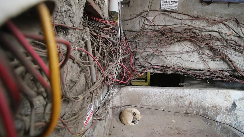 A curled up dog seen by the messed up cables in a risky condition at the staircase of Gawsul Azam super market in Nilkhet, Dhaka on 13 September. Photo: Abdus Salam
