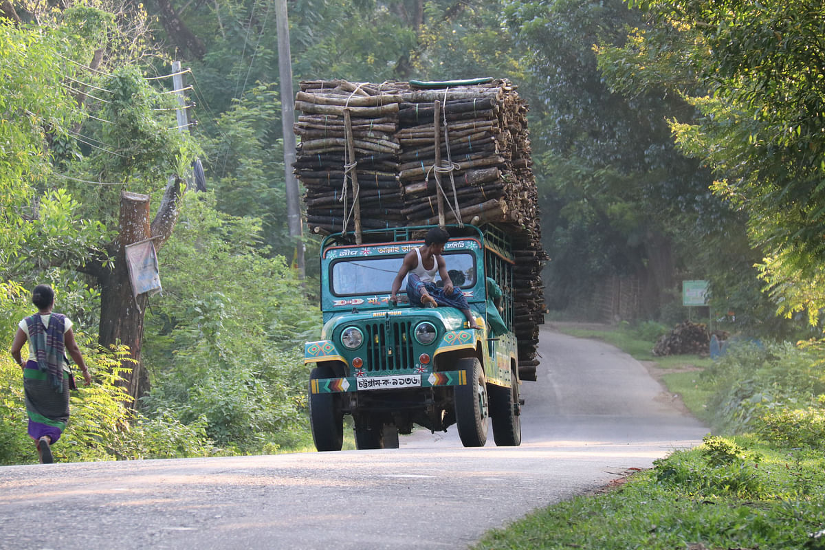 A human hauler with a huge pile of timbers running across the zigzag hilly roads at Zero Mile, Khagrachhari on 16 September. Photo: Nerob Chowdhury