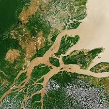 Amazon river