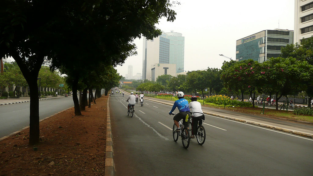 Cyclists enjoy a car-free day. Photo: Collected