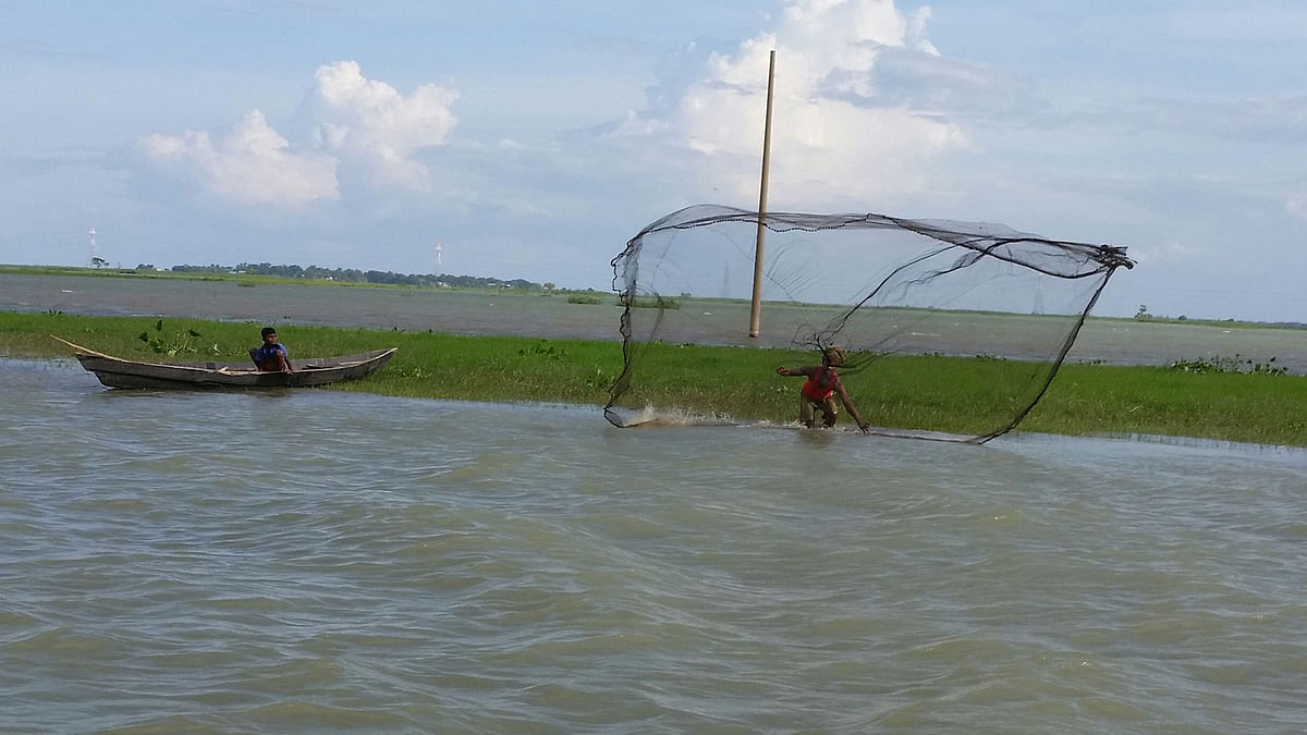 A fisherman casts his net in the river at Balikhola, Karimganj of Kishoreganj on 23 September. Photo: Tafsilul Aziz
