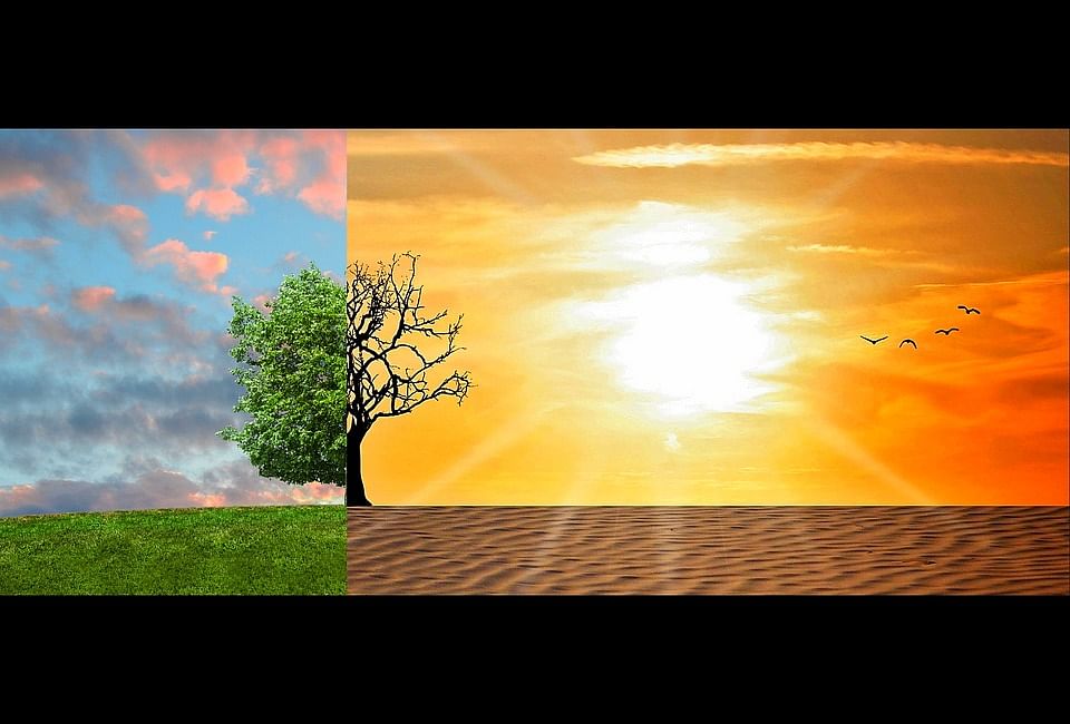 Climate change and global warming image