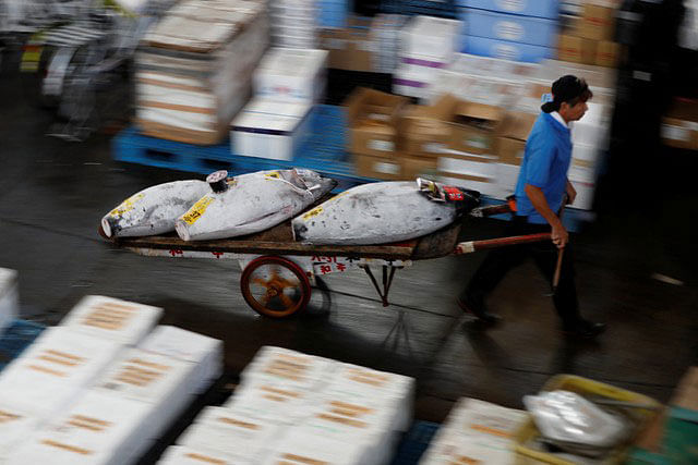 A wholesaler pulls a cart of frozen tuna fish at the Tsukiji fish market in Tokyo, Japan, 29 September 2018. Photo: Reuters
