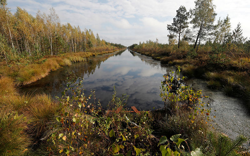 A channel, blocked with a dam, is seen at a marsh called Galoye, near the town of Cherven, Belarus on 2 October 2018. Photo: Reuters