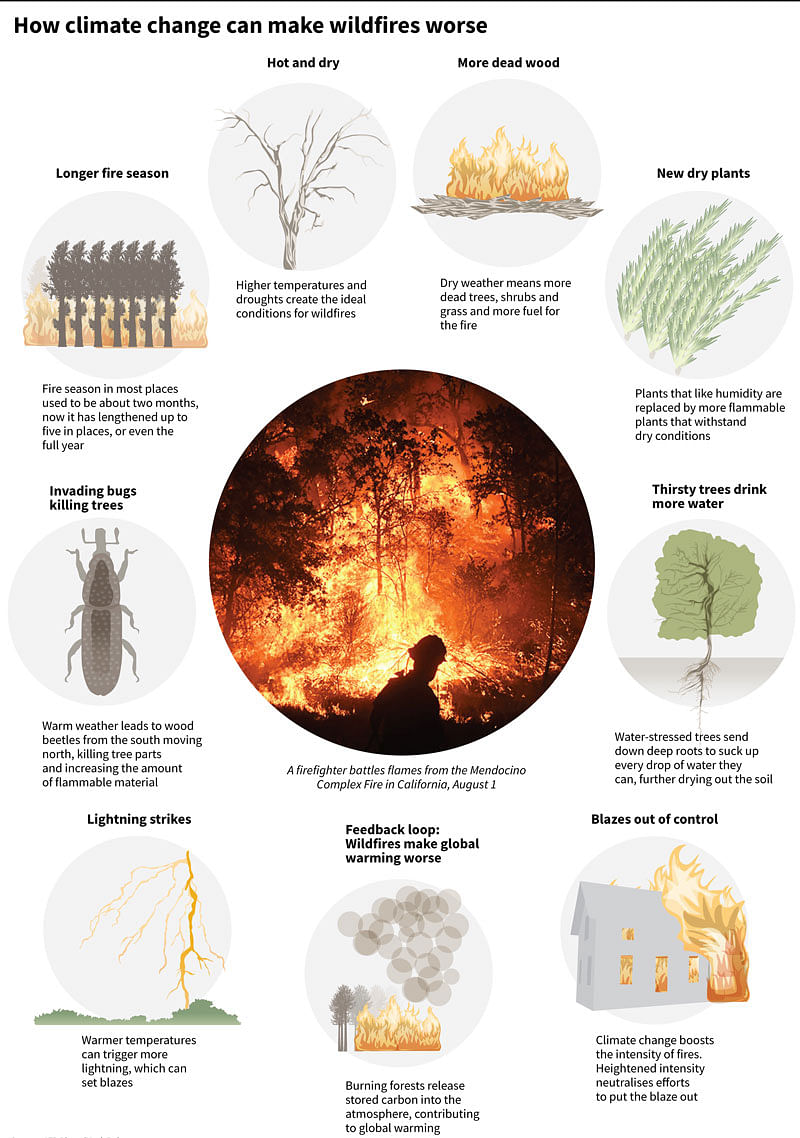 Graphic showing how climate change can make wildfires worse. Photo: AFP