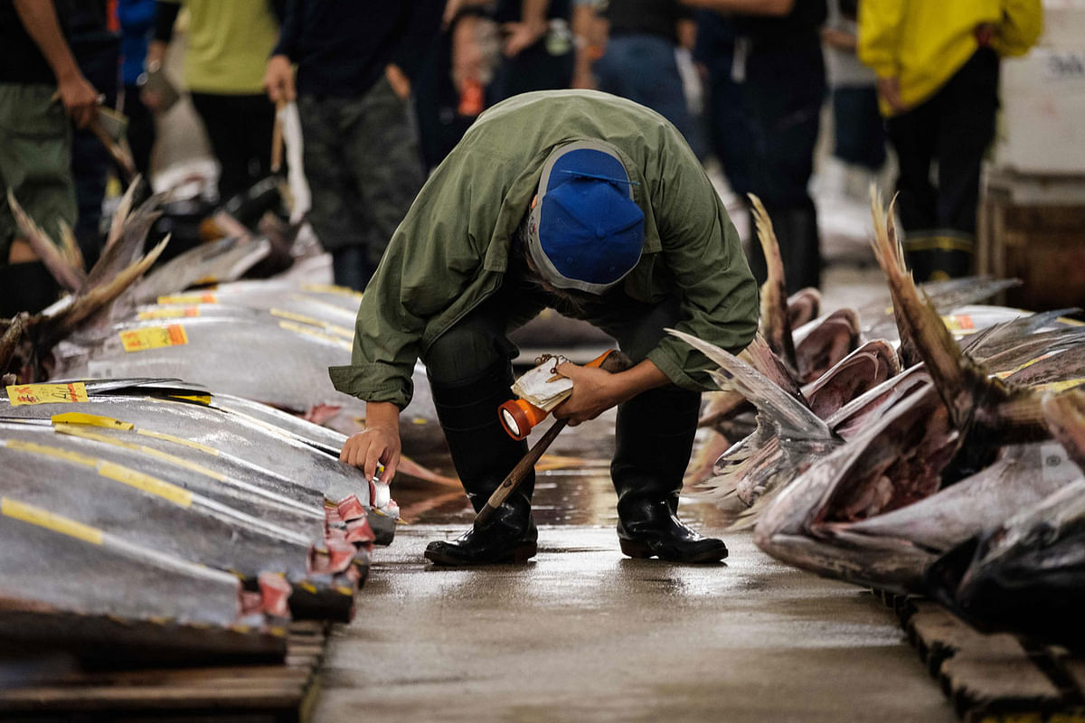 A buyer inspects fish before the final tuna auction at the landmark Tsukiji fish market, the last day of the market`s operations before closing its doors, in Tokyo on 6 October 2018. Photo: Reuters