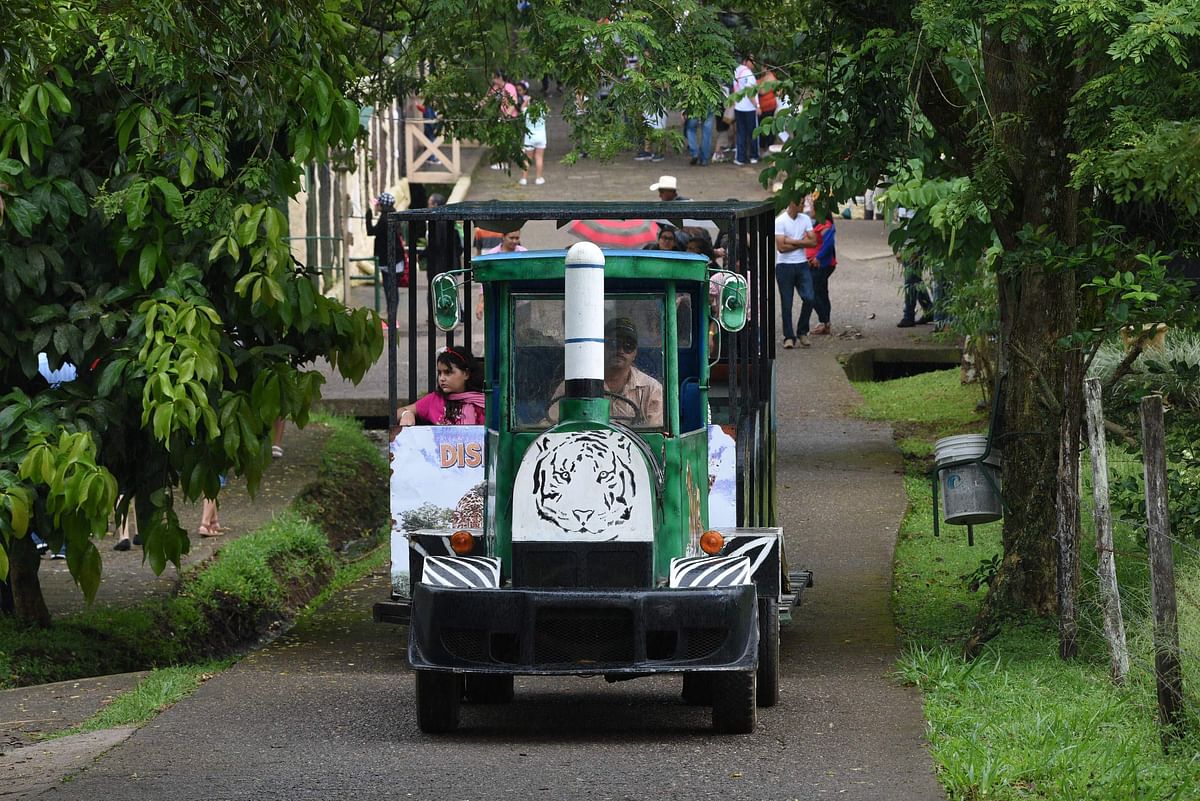 A truck with visitors drives along the Joya Grande zoo and eco-park in Santa Cruz de Yojoa, Cortes department, 160 km north of Tegucigalpa, Honduras, on 4 October 2018. Photo: AFP