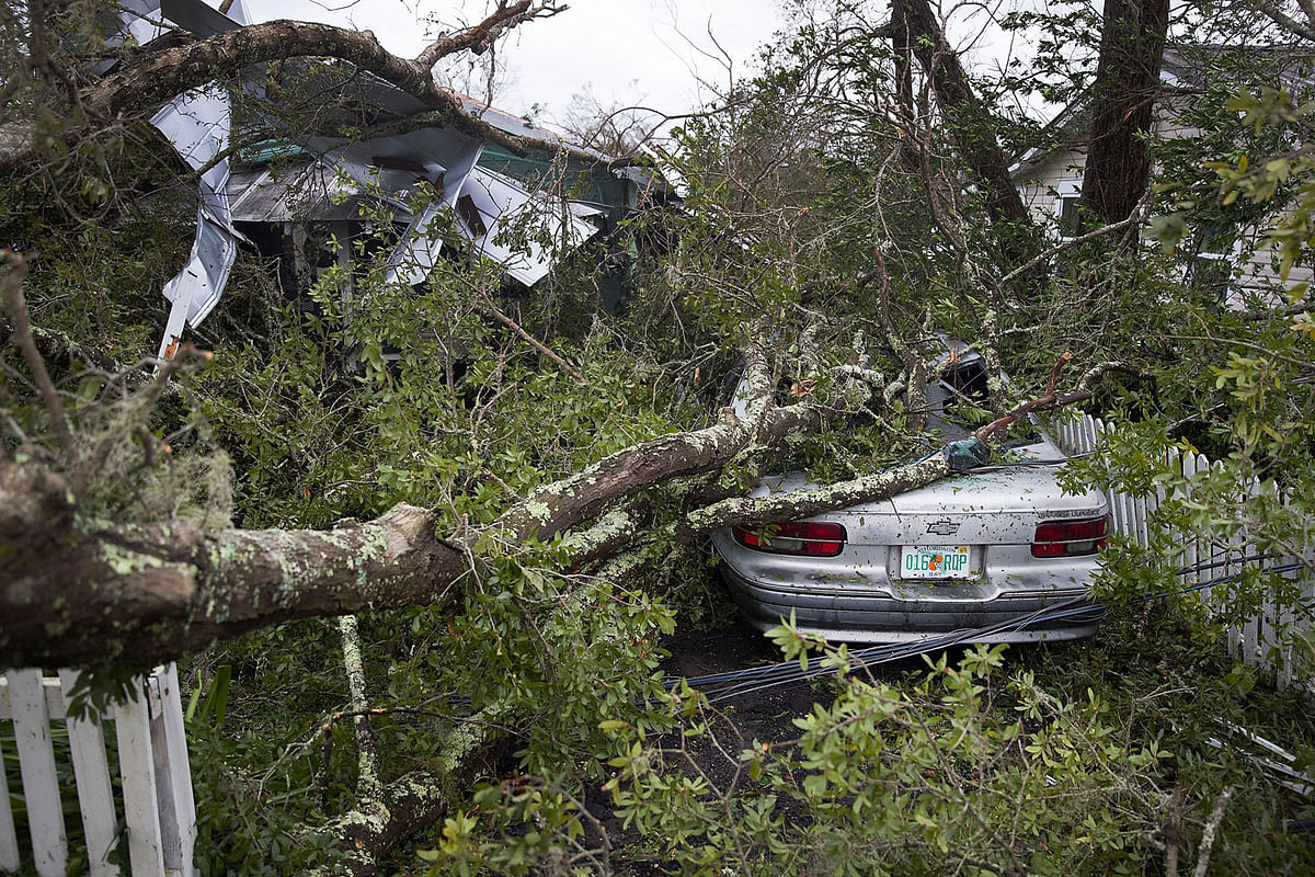 A tree lays on a home and car after hurricane Michael passed through the area on 10 October 2018 in Panama City, Florida. Photo: AFP