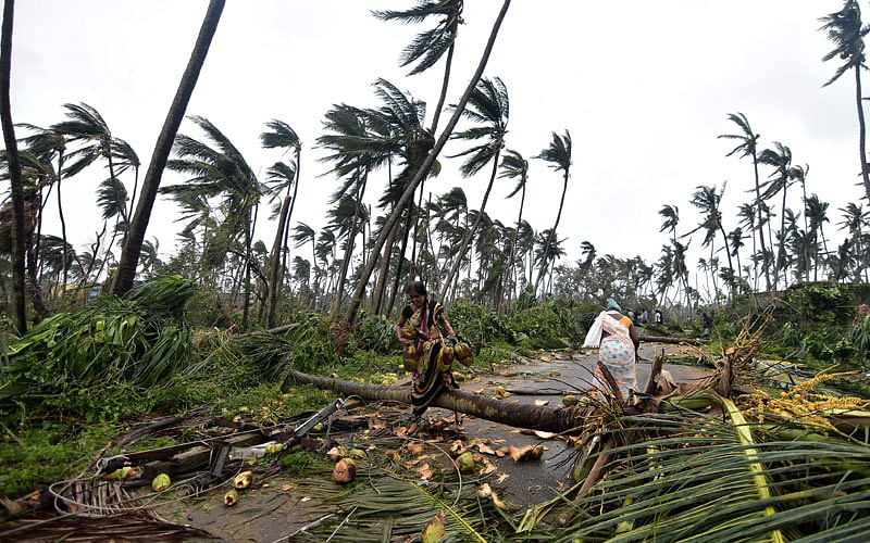 Indian women carry coconuts next to fallen palm trees after heavy winds brought by Cyclone Titli struck the area in Barua village in Srikakulam district of Andhra Pradesh on 11 October 2018. Photo: AFP