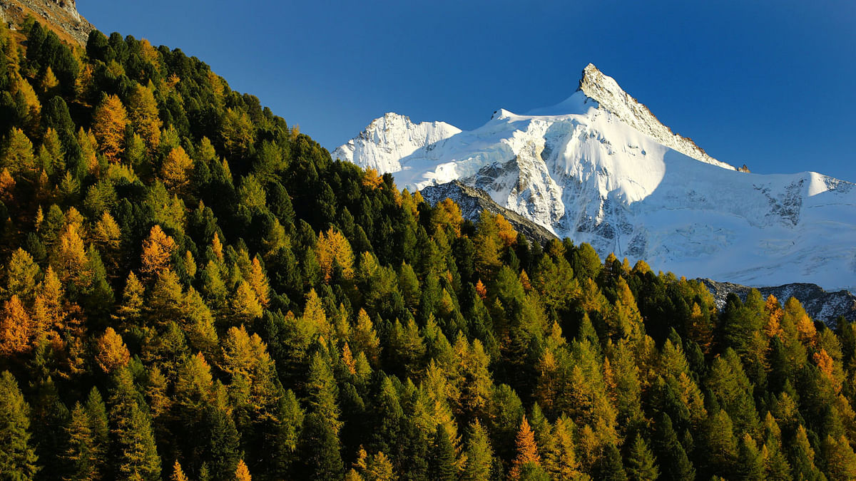 The Zinalrothorn mountain is pictured on a warm autumn day in Val d`Anniviers, Switzerland, 13 October, 2018. Photo: Reuters