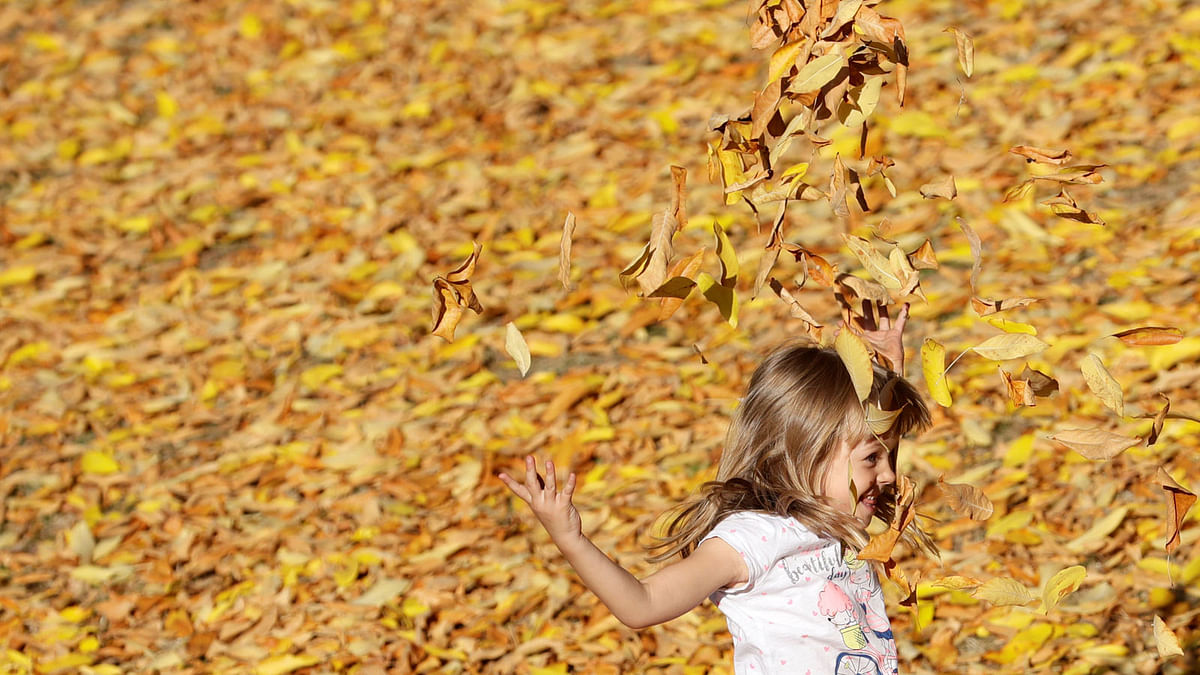 A child plays with leaves in a park on a sunny autumn day in Prague, Czech Republic 13 October, 2018. Photo: Reuters