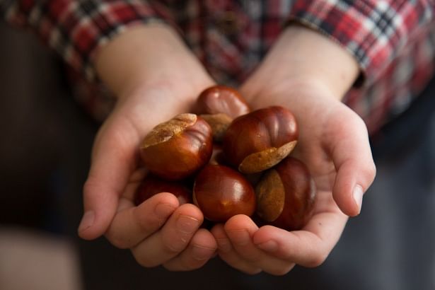 Conker crown game