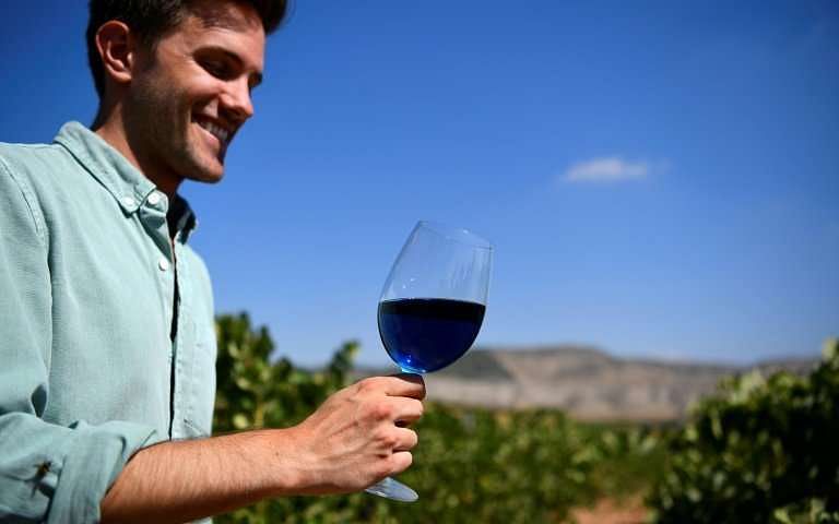 `We knew Gik Blue would polarise opinion,` says Aritz Lopez, a co-founder of Gik Live! which produces blue wine -- Photo: AFP