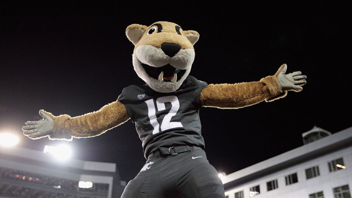 Butch the mascot for the Washington State Cougars performs during the game against the Oregon Ducks at Martin Stadium on 20 October 2018 in Pullman, Washington. Photo: AFP